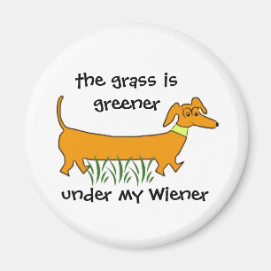 TaxWiener Magnet