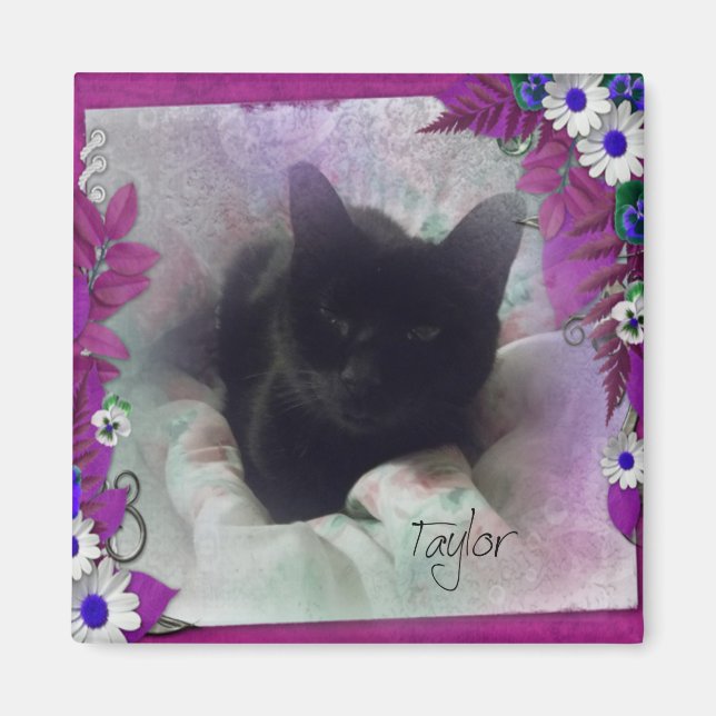 Taylor Refrigerator Magnet (Framsidan)