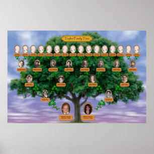 Taylor stamträd poster