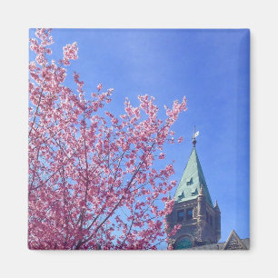Taylor Torn i Vår, Bryn Mawr College Magnet