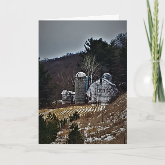 "Taylors Farm" julkort Kort (Framsida)