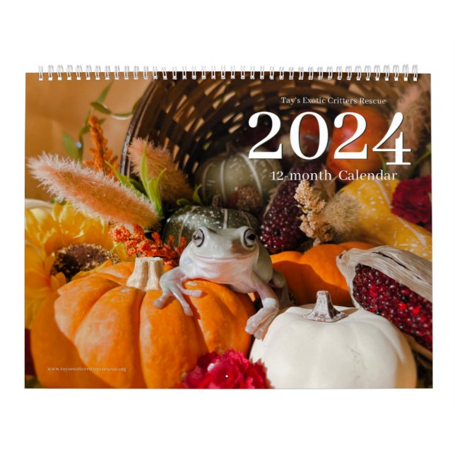 Tays exotiska Rädding 2024-kalender Kalender (Omslag)
