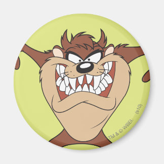 TAZ™ Arm Wide Magnet
