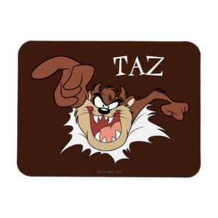 TAZ™-bränning via sida Magnet