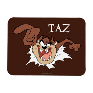 TAZ™-bränning via sida Magnet