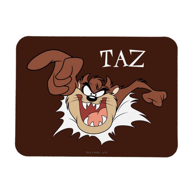TAZ™-bränning via sida Magnet (Horisontell)