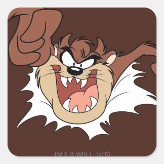 TAZ™ Brister Upp På Sidan Fyrkantigt Klistermärke