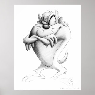 TAZ™ Drawing Poster