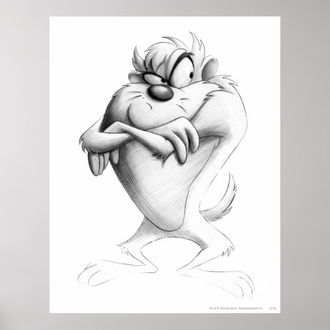 TAZ™ Drawing Poster (Framsidan)