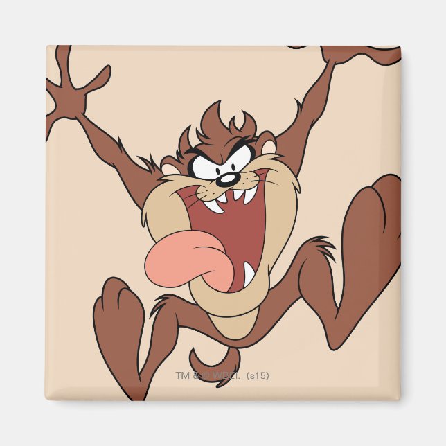 TAZ™-lead Magnet (Framsidan)