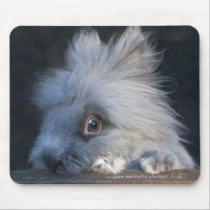 Taz Mousemat Musmatta