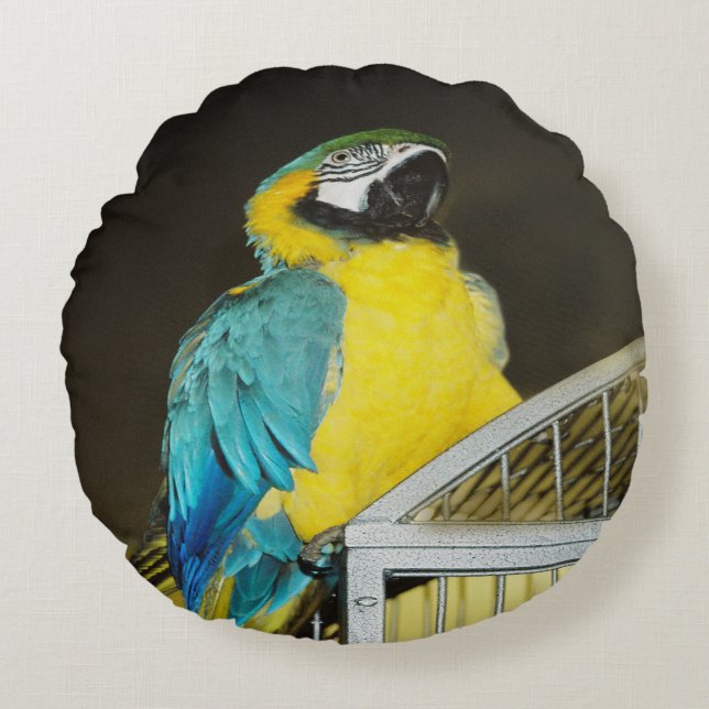 Taz... Rund Kudde (Framsidan)