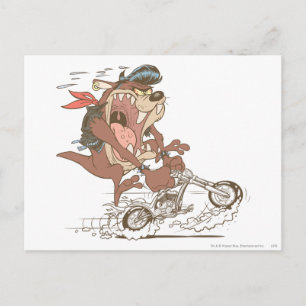 TAZ™ Slick Hog Vykort