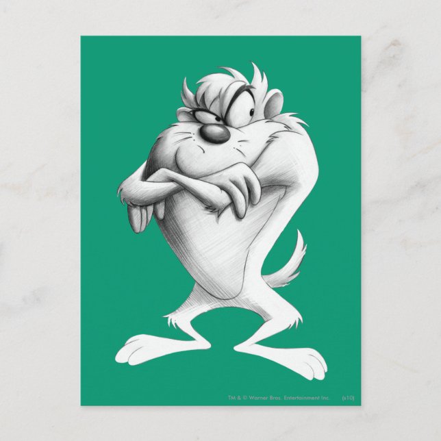 TAZ™ Teckning Vykort (Framsida)