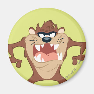 TAZ™ Toothy Flin Magnet