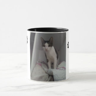Taza gato lindo mugg