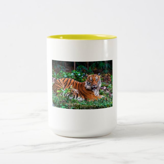 taza tg Två-Tonad mugg (Center)