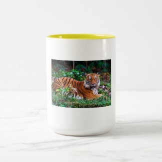 taza tg Två-Tonad mugg
