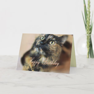 TazzieBday-anpassa Kort