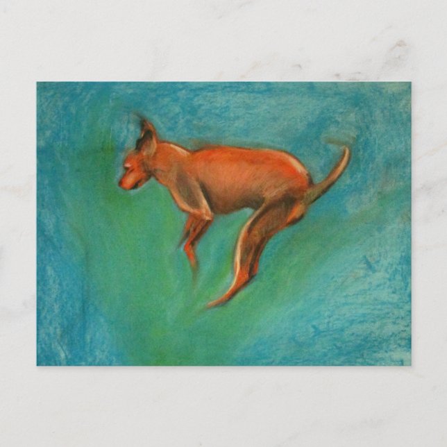 Tazzmaster Vykort (Framsida)