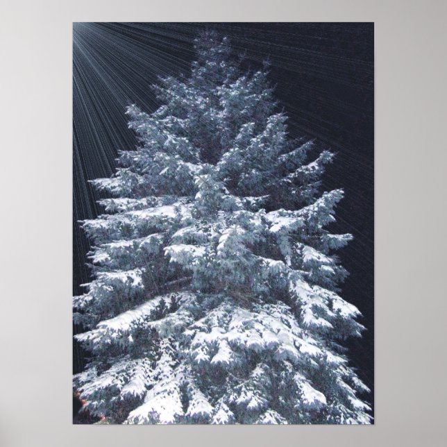 TBA Award - Gräs Ljus Poster (Framsidan)