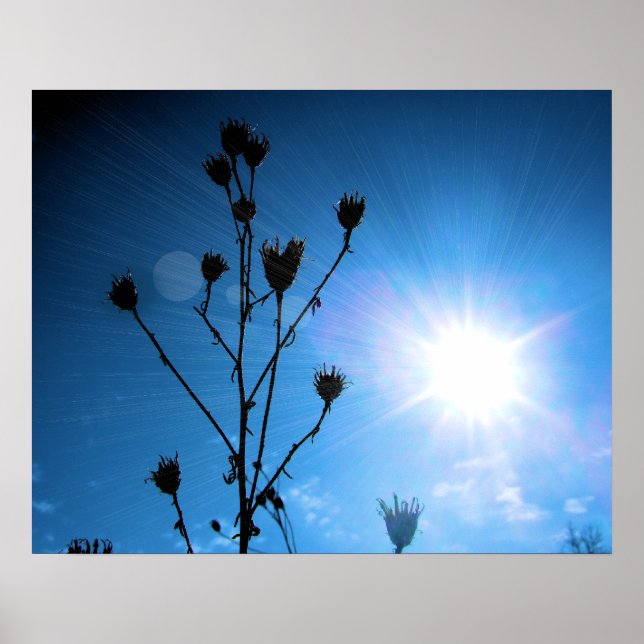 TBA Award Winner Hope Poster (Framsidan)