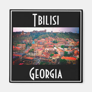 Tbilisi Georgien Stadsvy Arkitektur Magnet