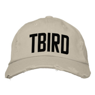 TBIRD HAT BRODERAD KEPS