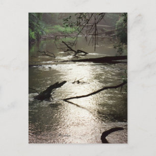 Tchefuncte Glimmer-vykort Vykort