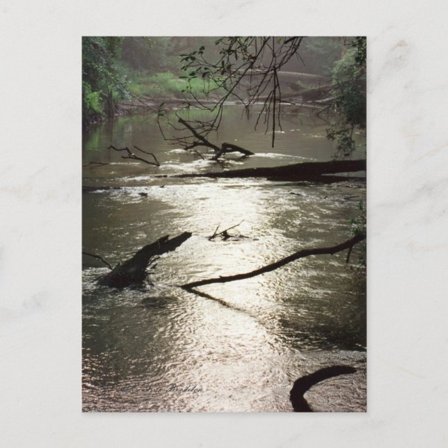 Tchefuncte Glimmer-vykort Vykort (Framsida)