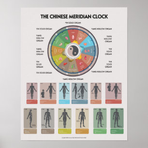 TCM Meridian Organ Klocka Affisch, Kinesisk Medici Poster