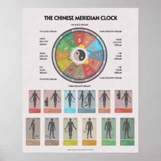 TCM Meridian Organ Klocka Affisch, Kinesisk Medici Poster