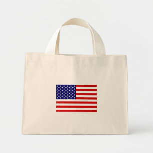 Tcnt USA flagga Mini Tygkasse