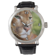 TCWC - Puma Mountain Lejon Art