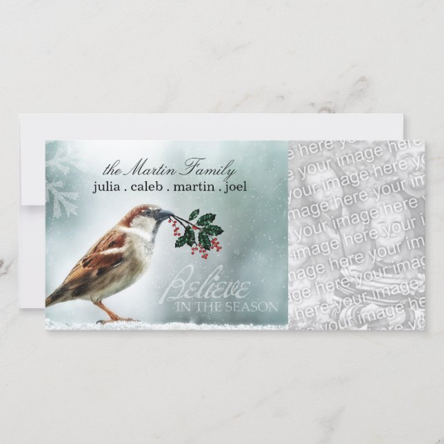 TCWC - Snöig gråsparv för helgdag Julkort (Framsida)