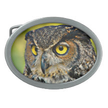 TCWC - Underbar Horned uggla