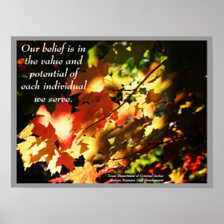 TDCJ HR-personalutveckling Poster - Anpassad