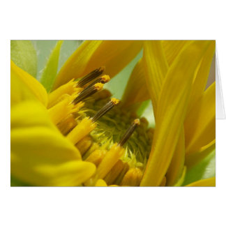 Te amo hälsningskort