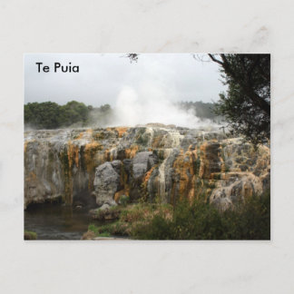 Te Puia Vykort