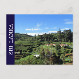 tea backe sri lanka vykort