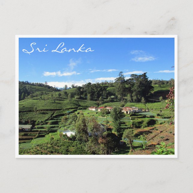 tea backe vykort (Framsida)