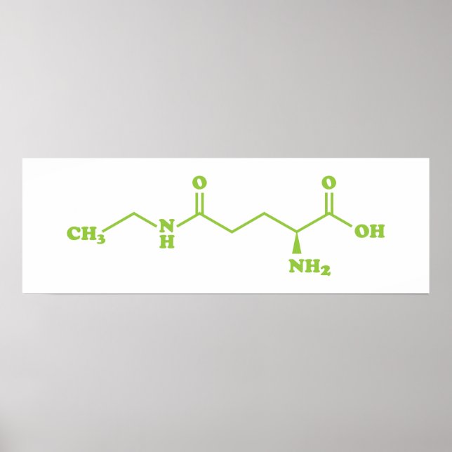 Tea Theanine Molecular Chemical Formula Poster (Framsidan)