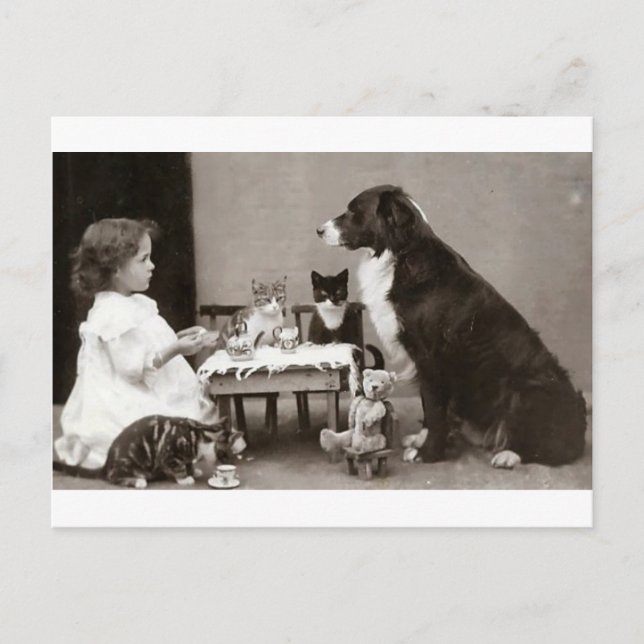 Tea Time Vykort (Framsida)