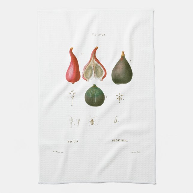 TEA TOWEL : BOTANISK: DOUÉ: FIGS KÖKSHANDDUK (Vertikal)