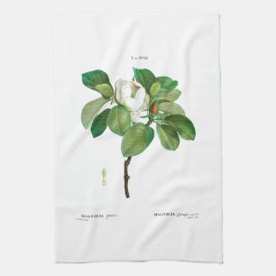 TEA TOWEL : BOTANISK: DOUÉ: MAGNOLIA KÖKSHANDDUK