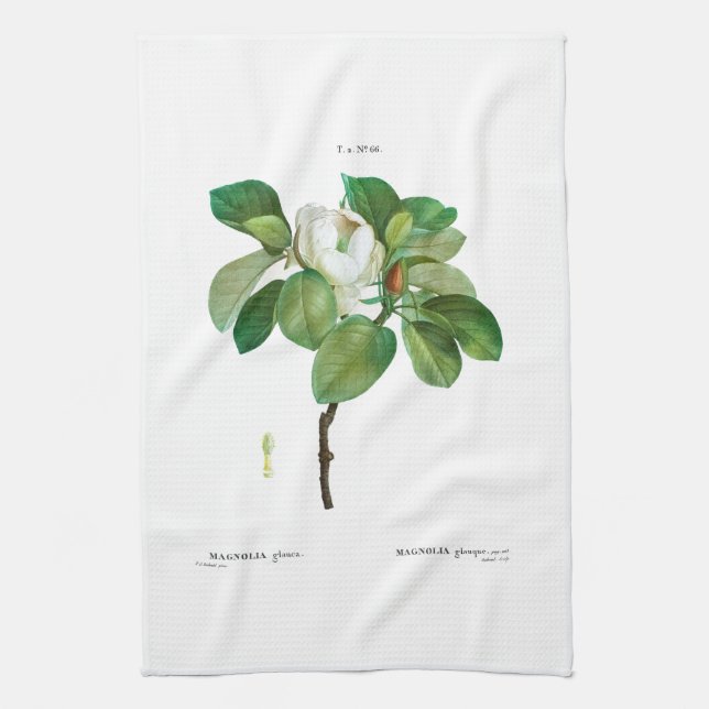 TEA TOWEL : BOTANISK: DOUÉ: MAGNOLIA KÖKSHANDDUK (Vertikal)