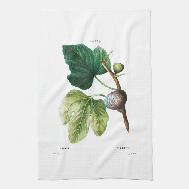 TEA TOWEL : DOUÉ: FIGS KÖKSHANDDUK (Vertikal)