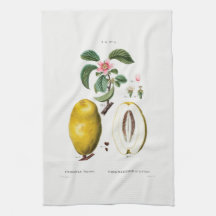TEA TOWEL : DOUÉ: KVINNA