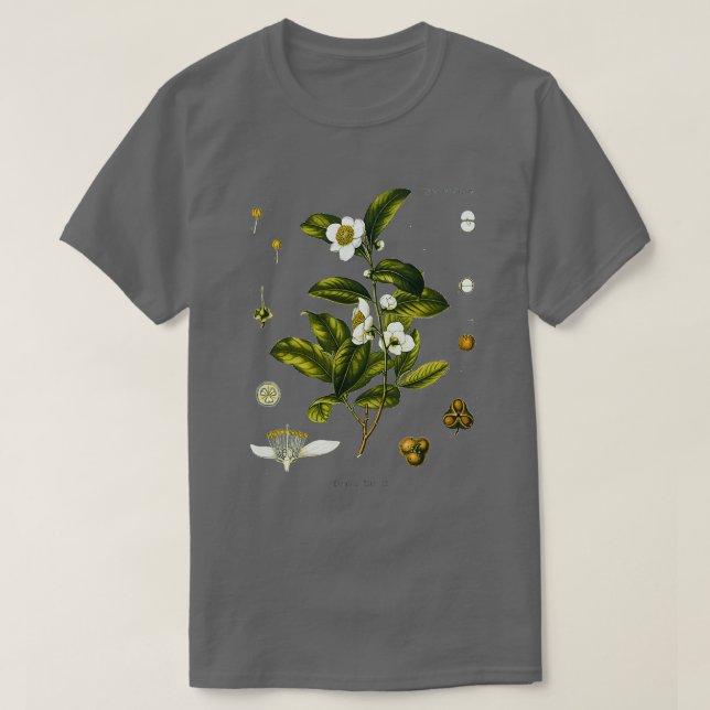 Tea-växten teckning Camellia Sinensis T Shirt (Design framsida)