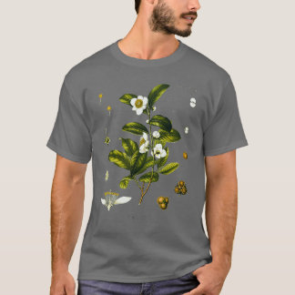Tea-växten teckning Camellia Sinensis T Shirt